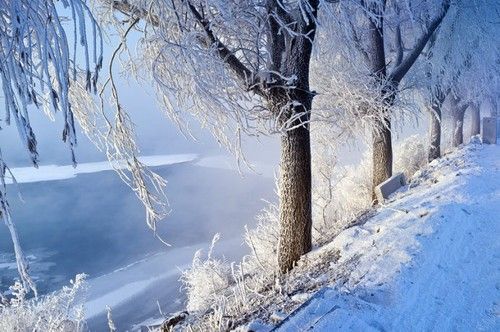 大雪纷飞追冬趣，冰雪运动好时节_最佳精选落实