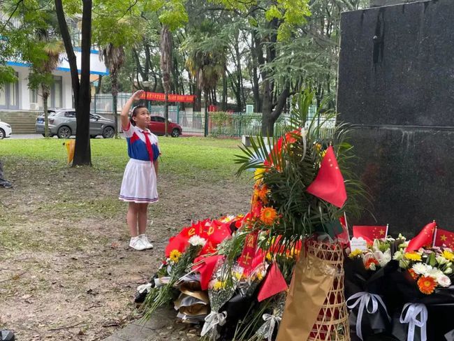 市民自发前往琼瑶祖居献鲜花，致敬文化传承与情感记忆_全面解答落实