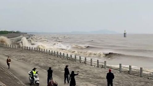 钱塘江海水，壮丽景观与生态价值_精准落实