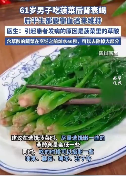 菠菜对肾有影响吗？一探究竟_精准落实