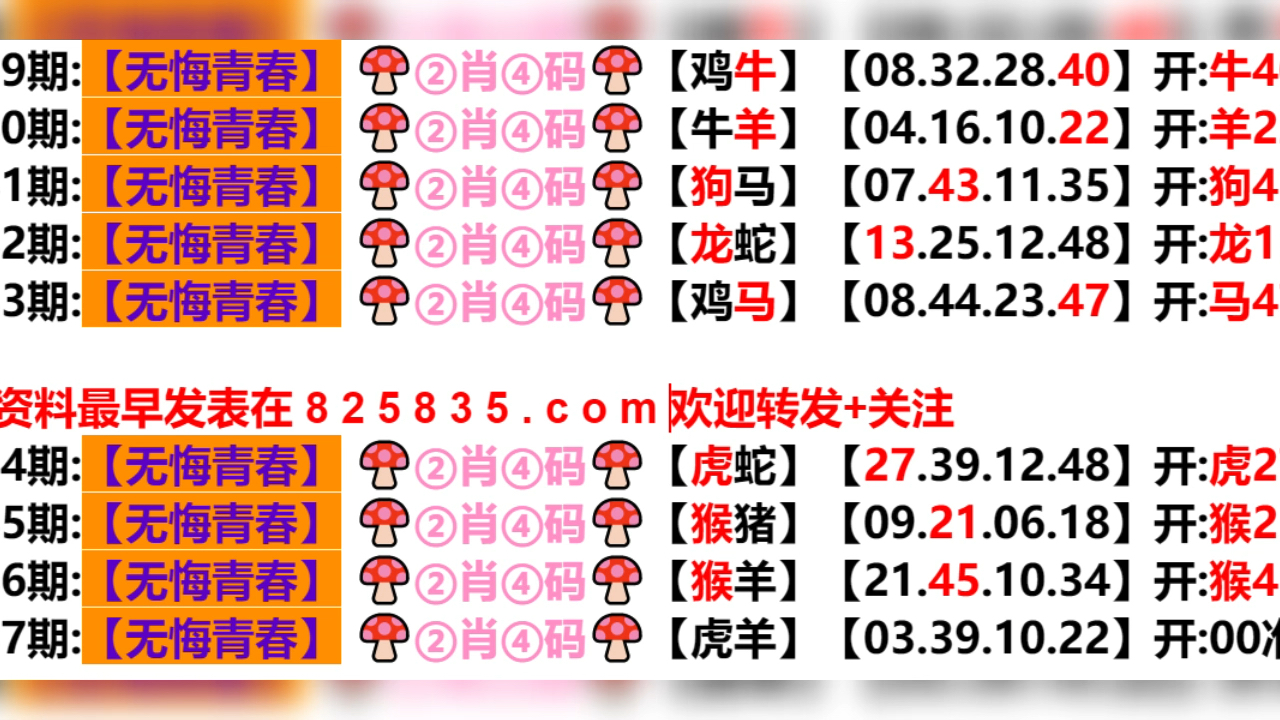 2024新奥历史开奖结果查询澳门六,反馈机制和流程_D版63.877