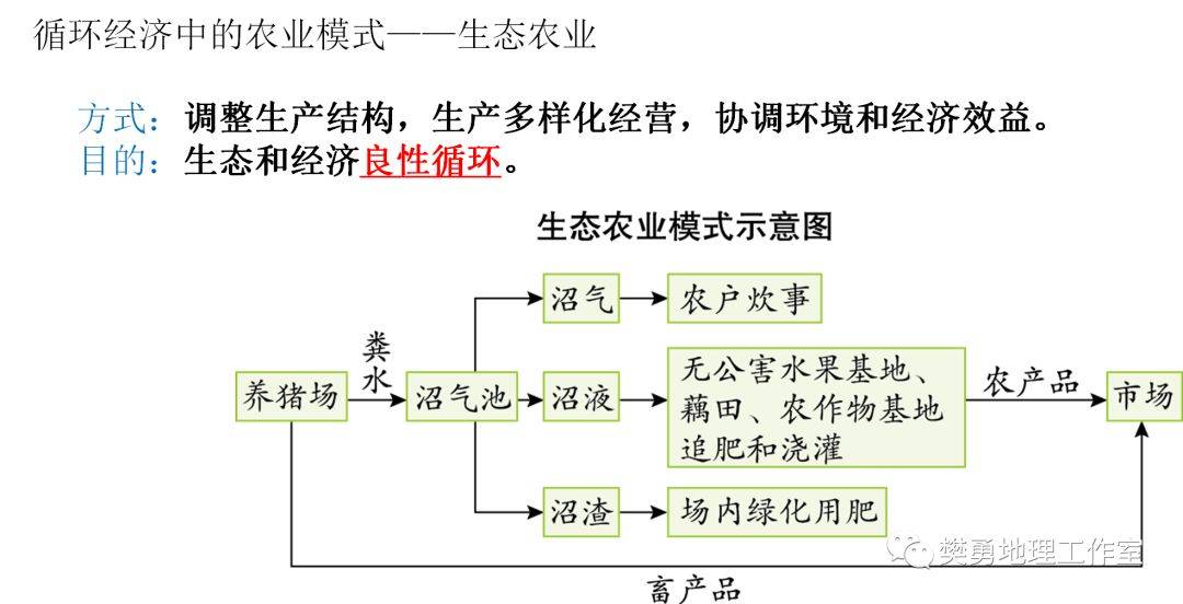 三肖三期必出特马,反馈总结和评估_3D88.949