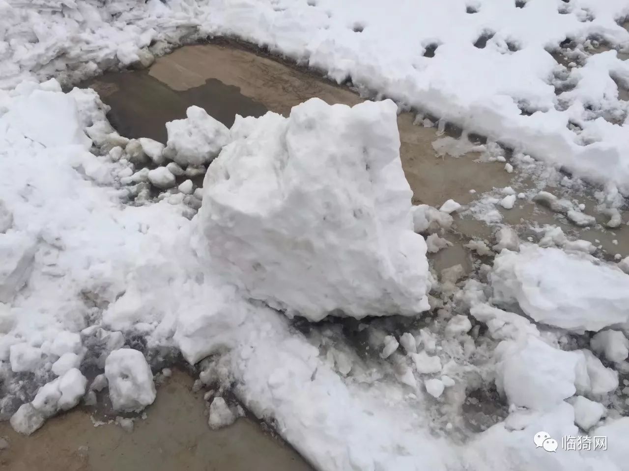 景区棉花沙子冒充雪，旅游乱象的反思_精选解释落实