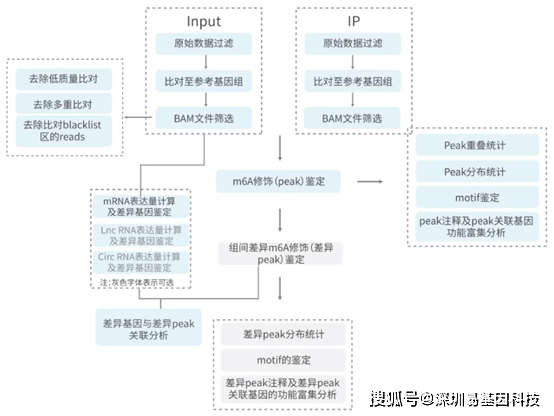 二四六香港全年免费资料说明,细化方案和措施_AR37.146