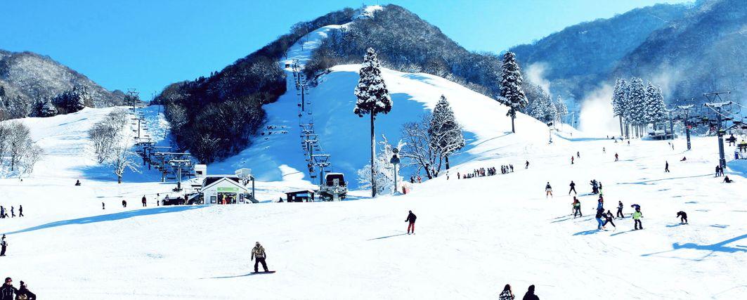 中国男游客在日本滑雪场遇难事件深度解析