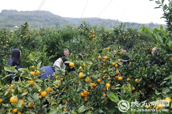 一、开篇导读，游客要求客房用餐，酒店如何应对？