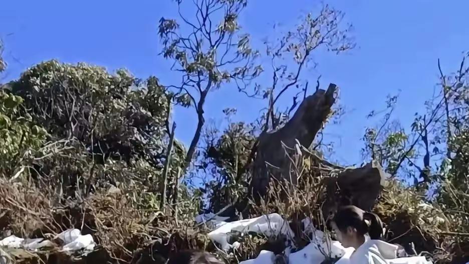 女童在高山走失，父亲悬赏百万寻人，期待奇迹出现！