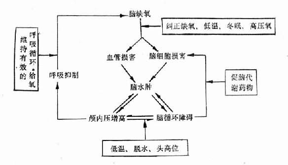 缺氧为何会引起神经细胞兴奋性降低