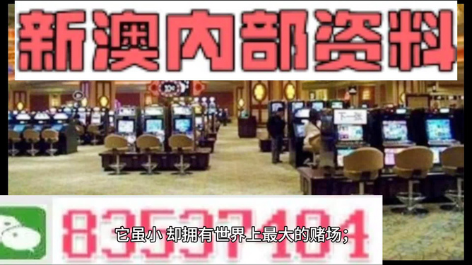 2024新澳精准正版资料——机遇与挑战的议论文