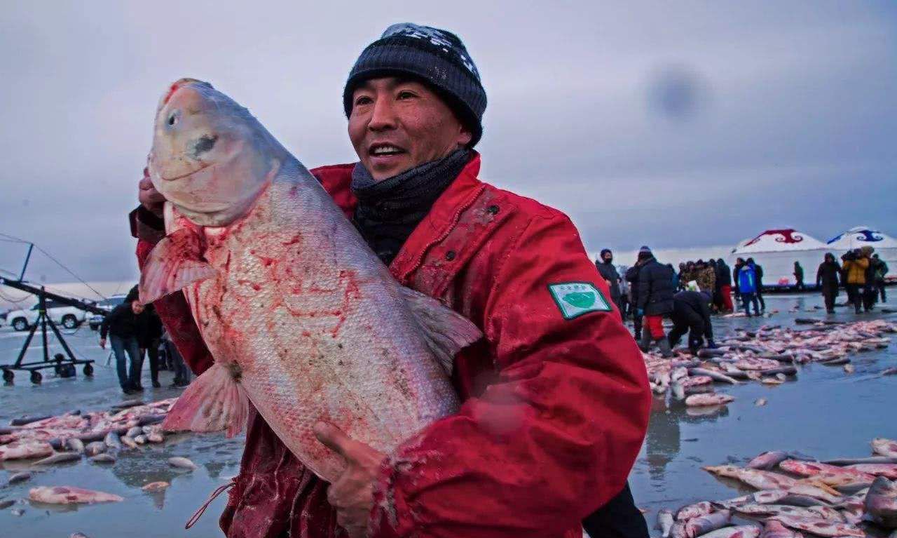 查干湖头鱼拍119万