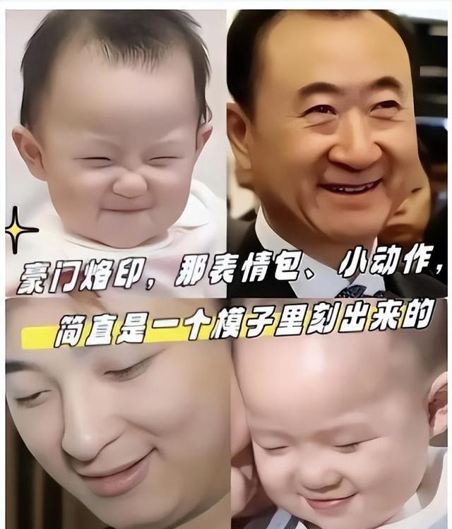 认亲背后的真相，探寻血缘与情感的交织