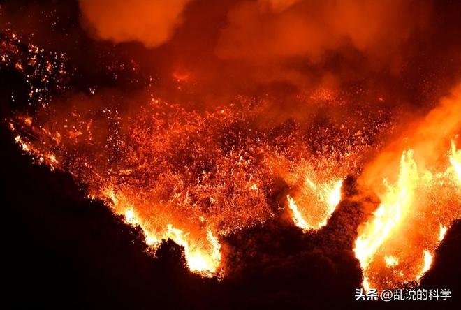 天水一地发生山火，灾难应对与社会反响