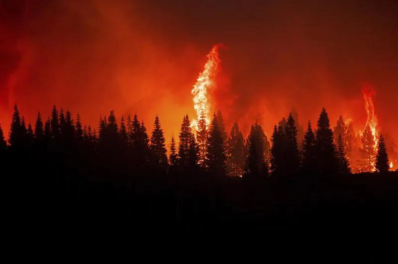 美警方视角下的山火，犹如原子弹落地的灾难性影响