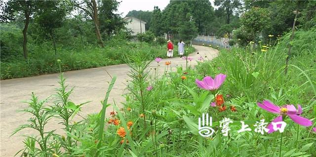 男子意外落水沟，全身泥泞用桶遮面