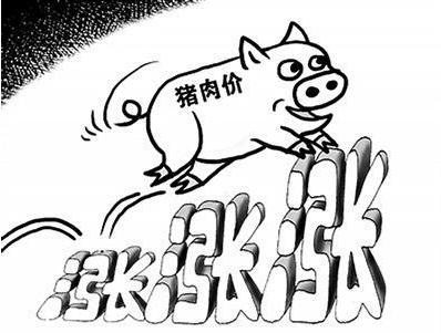 今日猪肉市场深度观察，平均价格22.62元/公斤的市场动态分析