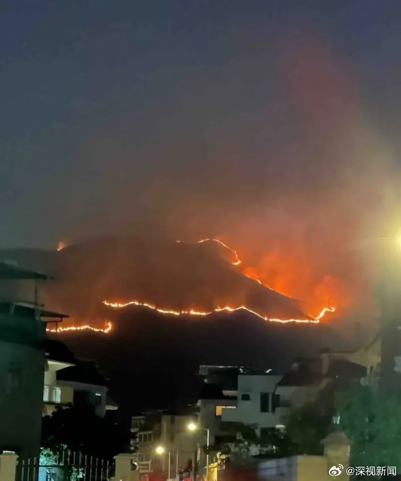 香港突发山火，深圳遥望，共筑防火长城