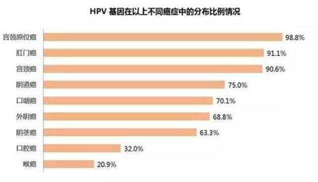 多地男性HPV疫苗开打，无需预约——迎接男性健康的新篇章