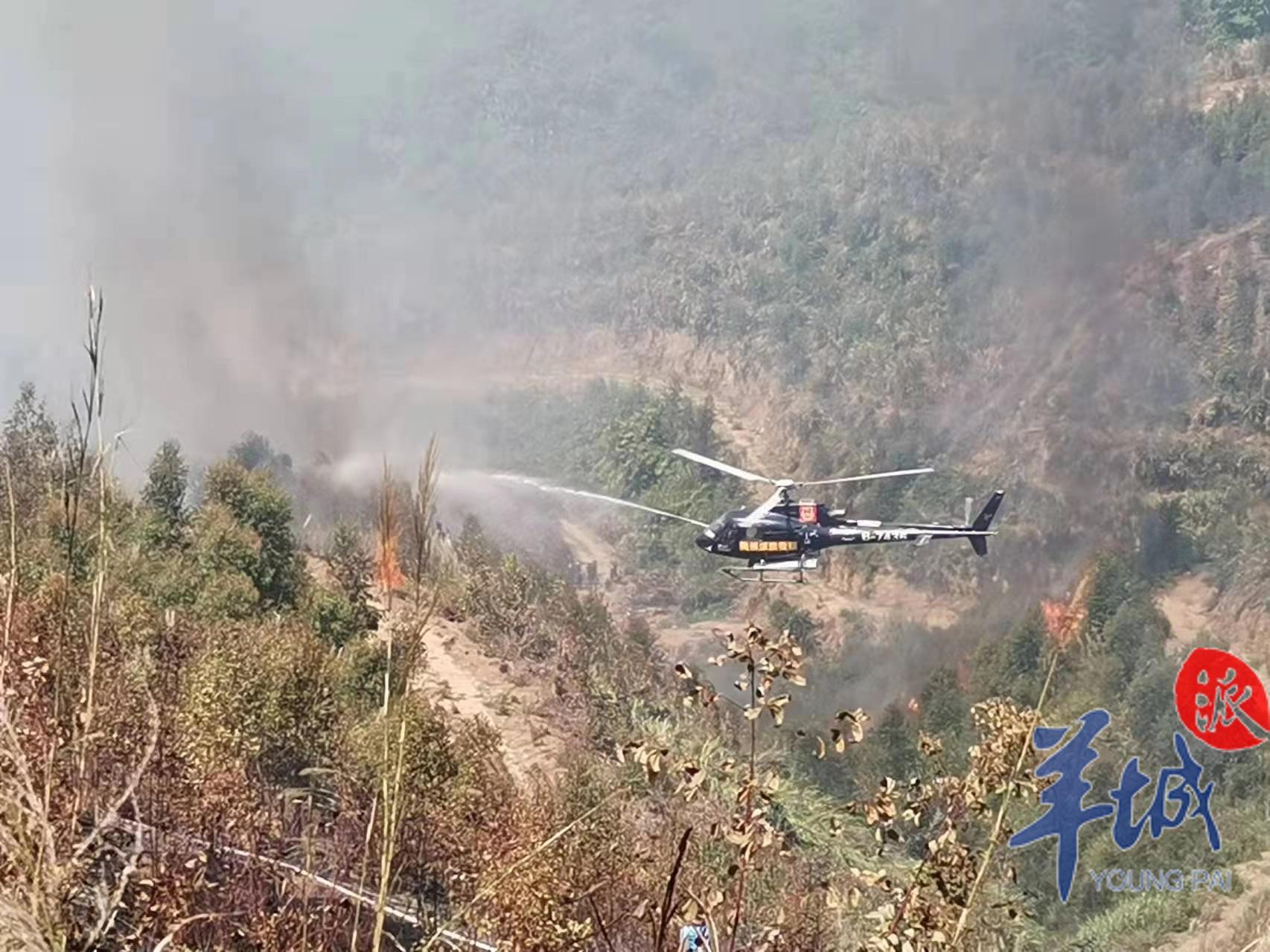 广东山火600人扑救