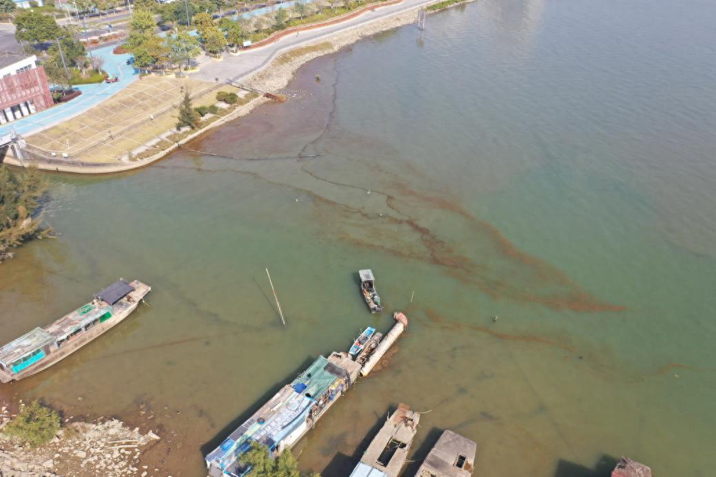 多地海边出现“爆爆珠”