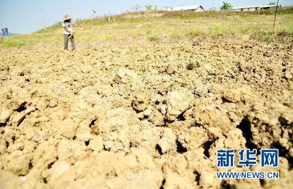 杭州等地遭遇重旱，挑战与应对策略