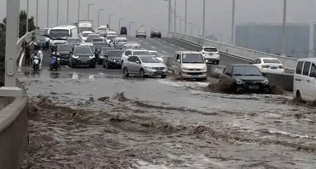 不实传闻，郑州跳桥遭遇火车撞击事件真相揭秘