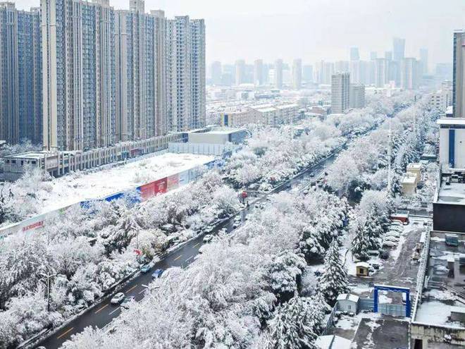 郑州下雪了，美丽冬日画卷的绽放