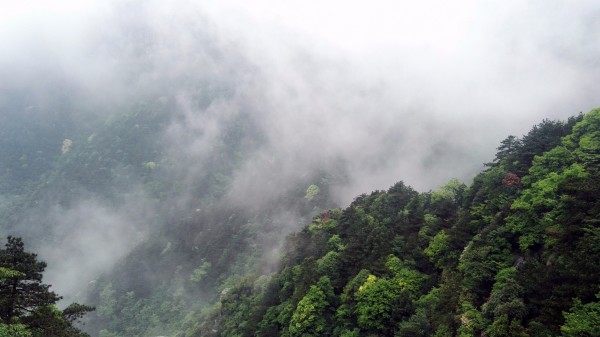 江西庐山嶙峋独峰顶惊现人影——神秘现象揭秘