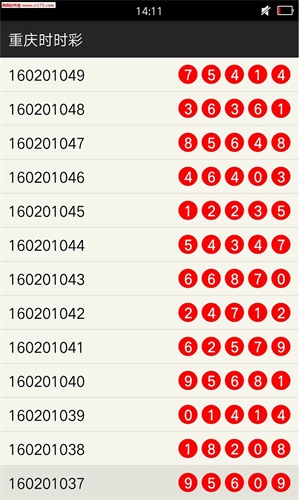 新澳门一肖中100%期期准——新挑战新机遇800字